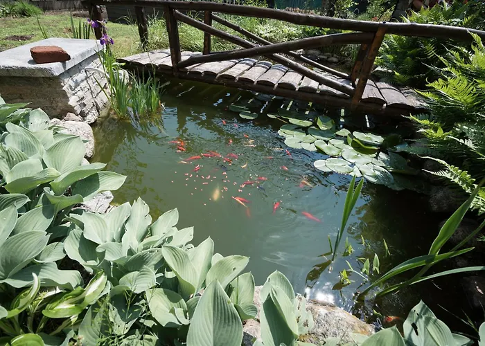 게스트하우스 Draisina Bike