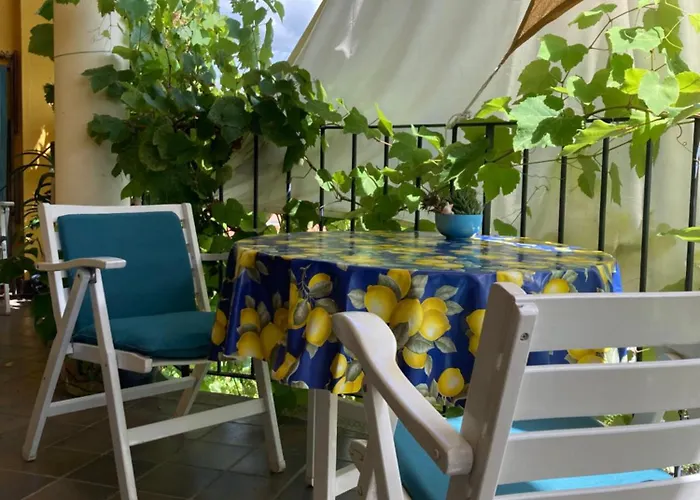 게스트하우스 Draisina Bike